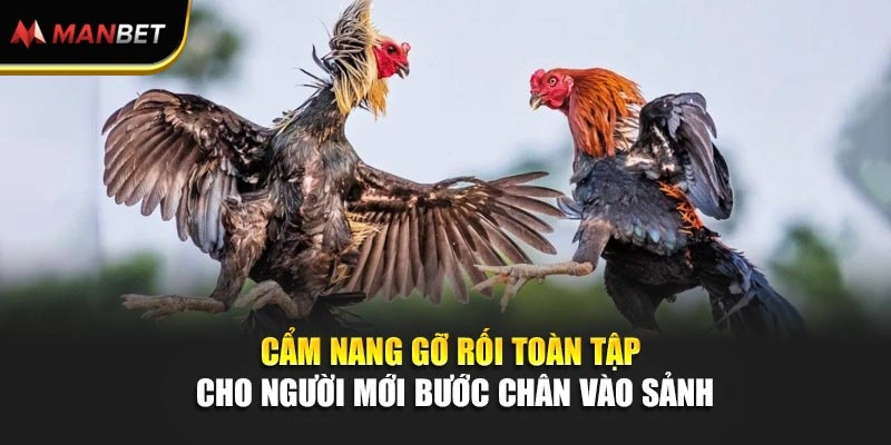 Cẩm nang gỡ rối toàn tập cho người mới bước chân vào sảnh