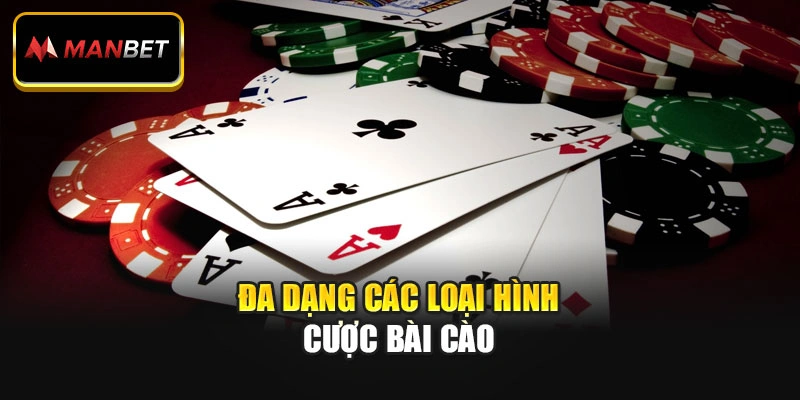 Đa dạng các loại hình cược Bài Cào