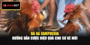 Đá Gà Campuchia: Hướng Dẫn Cược Hiệu Quả Cho Sư Kê Mới